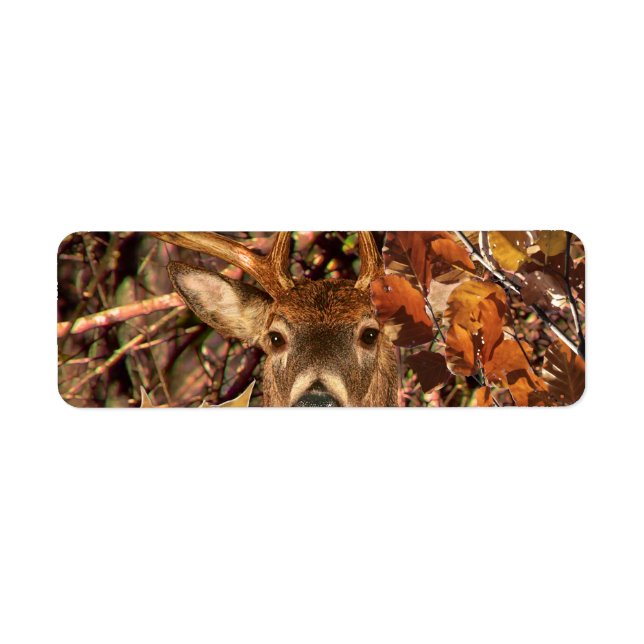Buck in Camouflage White Tail Deer Label (Front)