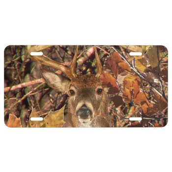 Buck In Camouflage White Tail Deer License Plate by TigerDen at Zazzle