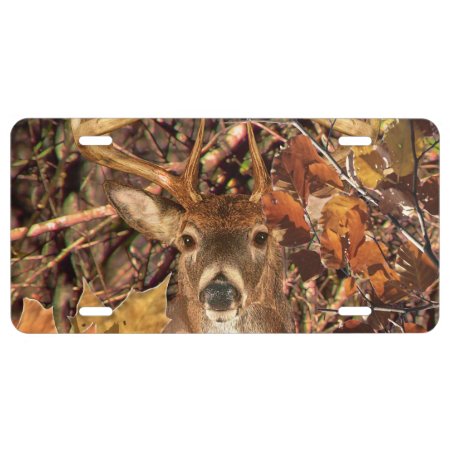 Buck In Camouflage White Tail Deer License Plate