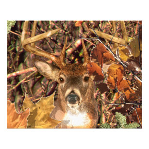 Buck in Camouflage White Tail Deer Photo Print
