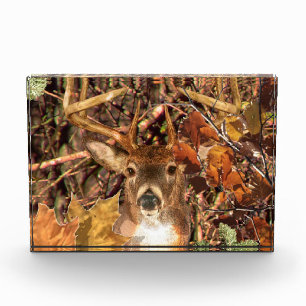 Buck in Fall Camo White Tail Deer Award