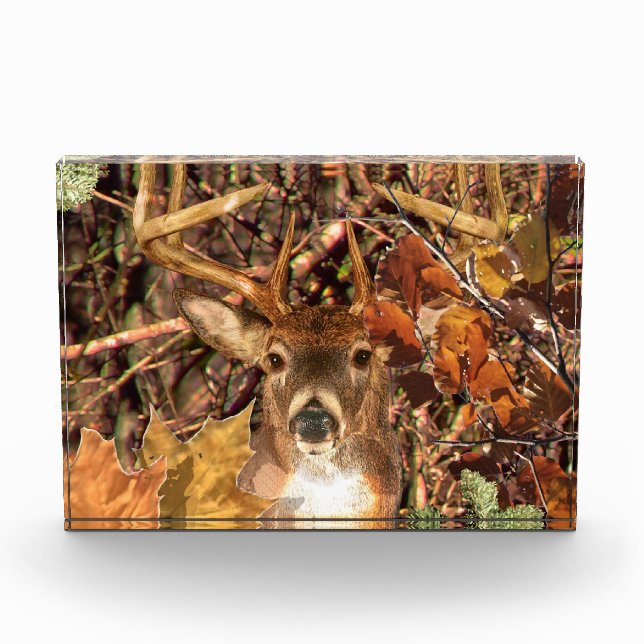 Buck in Fall Camo White Tail Deer Award (Front)