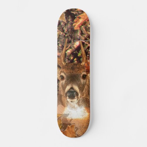 Buck in Fall Camo White Tail Deer Skateboard Deck