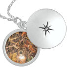 Buck in Hunter Camo White Tail Deer