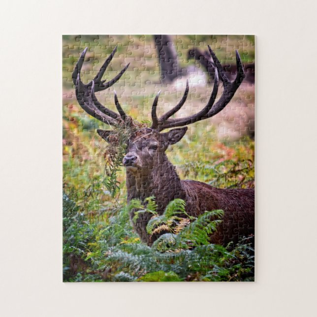 Buck in Richmond Park - 11x14 - 252 pieces Jigsaw Puzzle (Vertical)