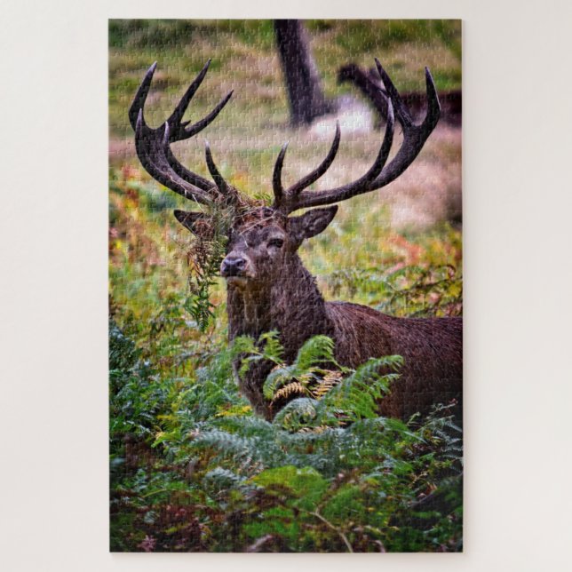 Buck in Richmond Park - 20x30 - 1014 pieces Jigsaw Puzzle (Vertical)