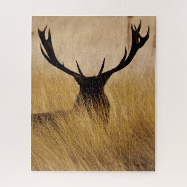 Buck in the Brush - 16x20 - 520 pieces Jigsaw Puzzle (Vertical)