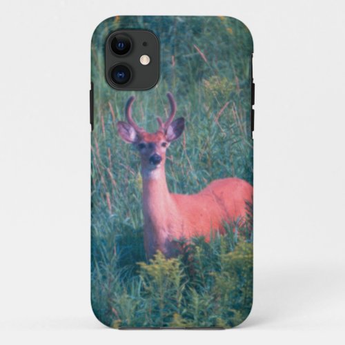 Buck In Velvet iPhone 11 Case