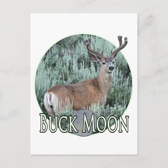 Buck moon postcard (Front)
