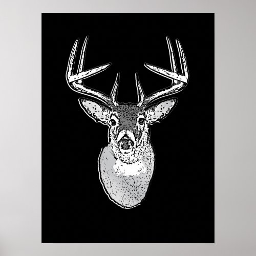 Buck on Bold Black White Tail Deer Poster
