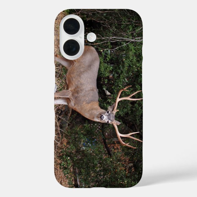 Buck Phone Case (Back)