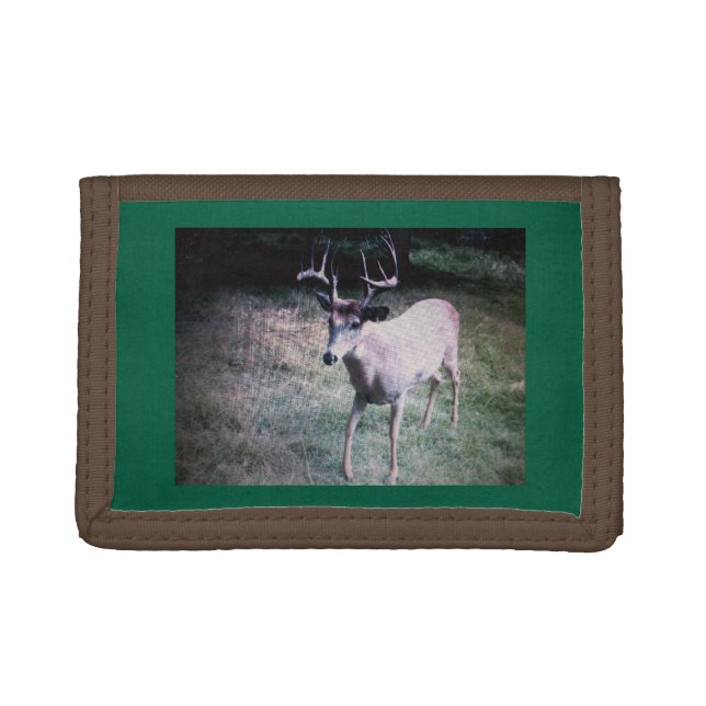 Buck Photo Wallet (Front)
