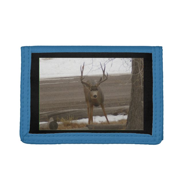Buck Photo Wallet Style 2 (Front)