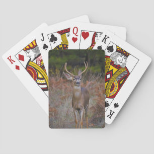 BUCK POKER CARDS