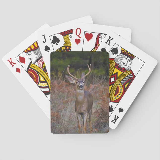 BUCK POKER CARDS (Back)