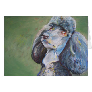 Buck, Standard Poodle Cards
