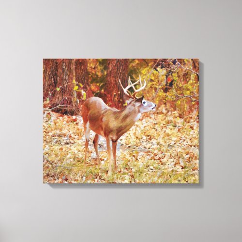 Buck Wild Deer in Woods Canvas Art Print
