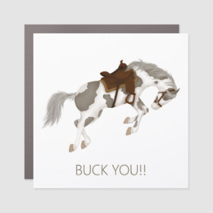 Buck You! Funny Pinto Horse Car Magnet