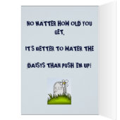 BUCKAROO Birthday Card | Zazzle