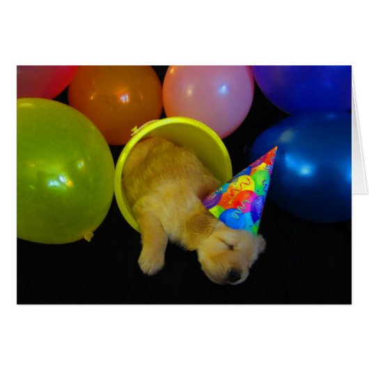 Bucket Abby 2 (Front Horizontal)