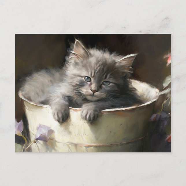 Bucket Full Of Joy Sweet Gray Kitten Postcard (Front)