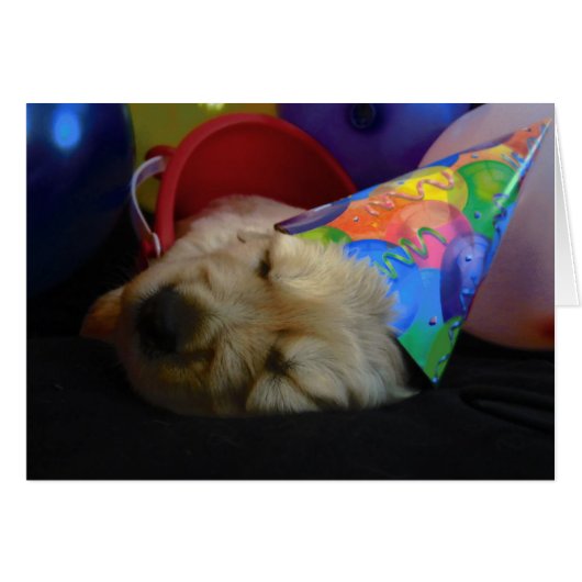 Bucket Grace (Front Horizontal)