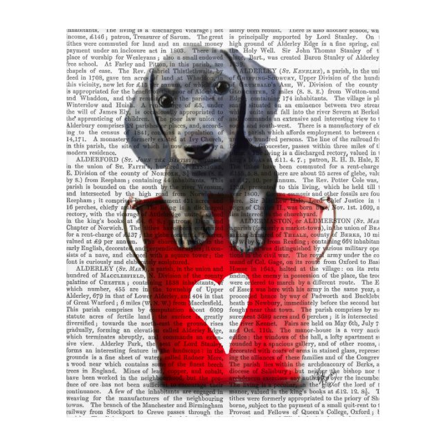 Buckets of Love Dachshund Puppy Acrylic Print (Front)