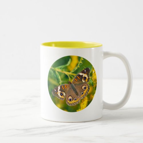 Buckeye Butterfly on Goldenrod Two_Tone Coffee Mug