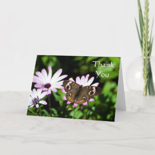 Buckeye Butterfly on purple Thank you
