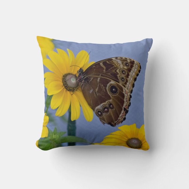 Buckeye Butterfly on Yellow Daisy Throw Pillow (Front)