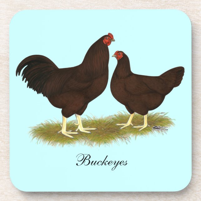 Buckeye Chickens Beverage Coaster (Front)