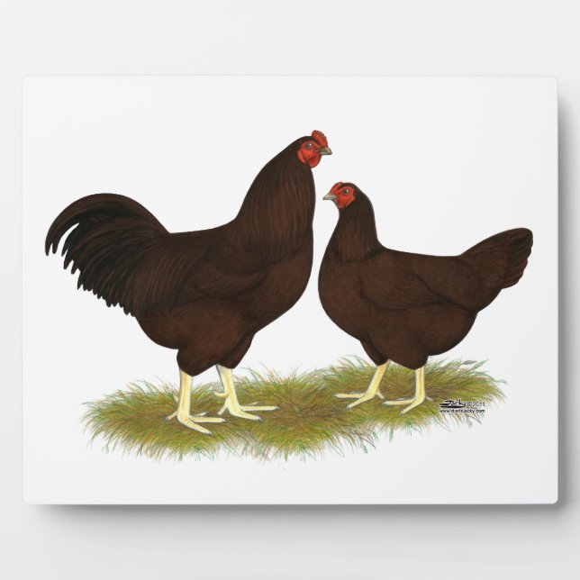 Buckeye Chickens Plaque (Front)