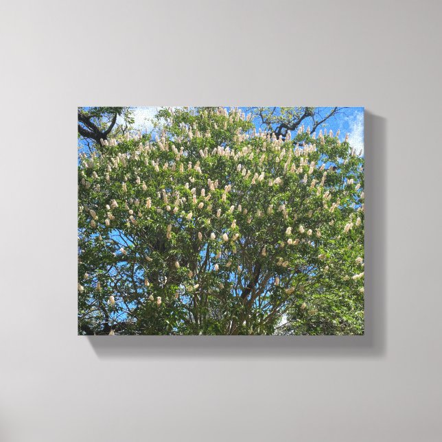 Buckeye Sky Canvas Print (Front)
