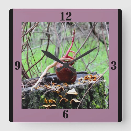 Buckeye Tree Sprout Square Wall Clock
