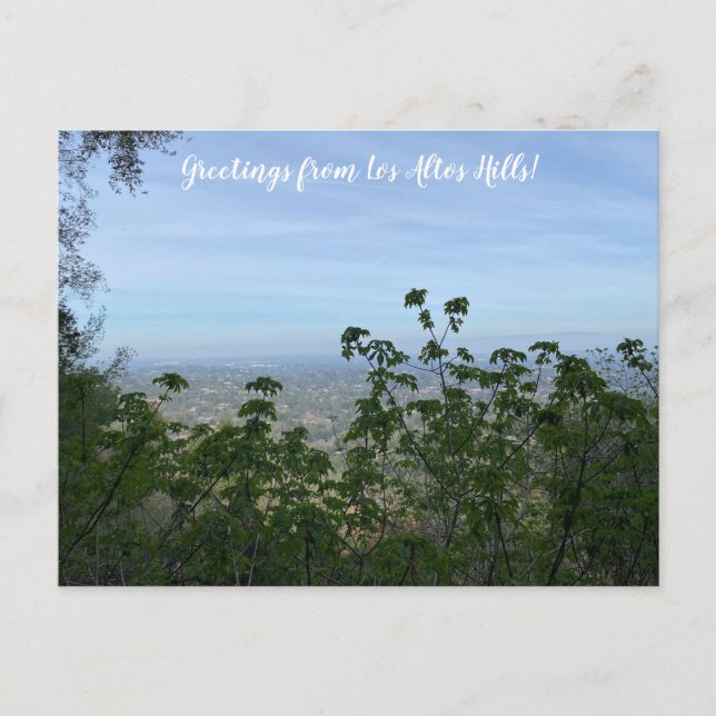 Buckeye view: Los Altos Hills Postcard (Front)