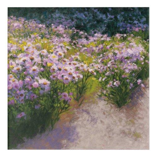 Buckhorn Aster Show Acrylic Print