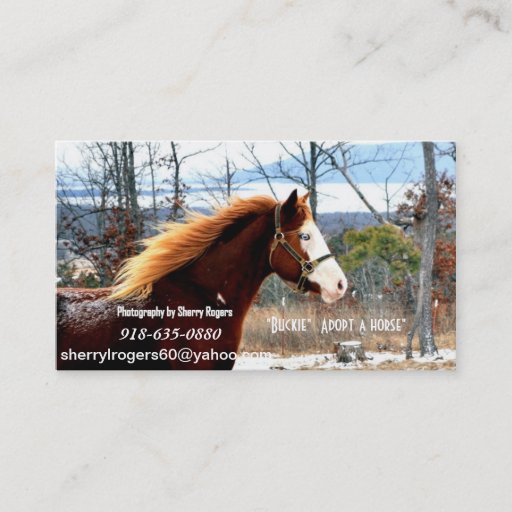 Customizable " Buckie" Adopt a horse Business Card