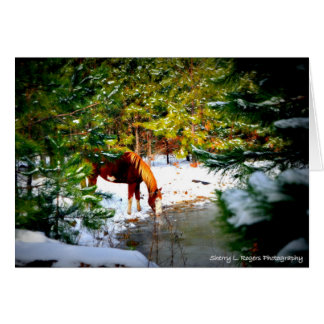 ~Buckie on Rogers Hobby Farm~ Cards