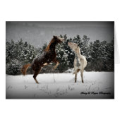 ~Buckie unleashed~ (Front Horizontal)