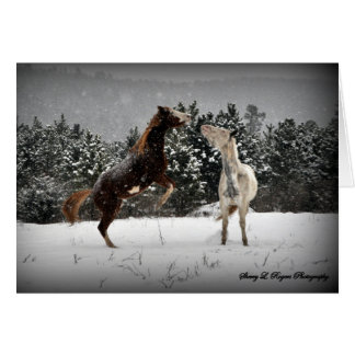 ~Buckie unleashed~ Cards