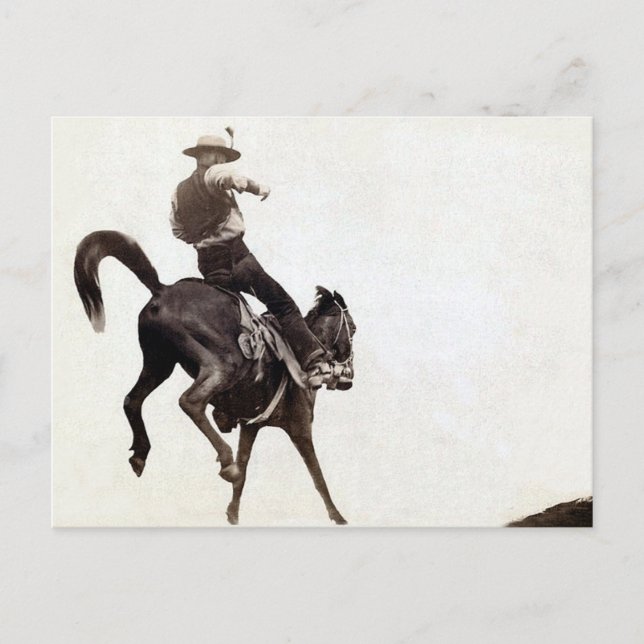 Bucking Bronco Postcard (Front)