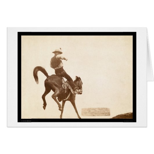Bucking Bronco SD 1888 Cards (Front Horizontal)