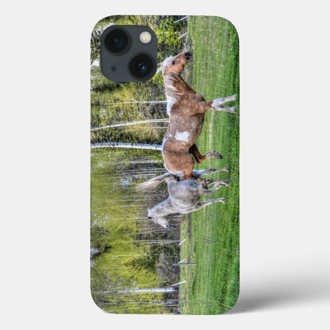 Bucking Palomino Paint & White Horse, Horse-lovers Case-Mate iPhone Case (Back)