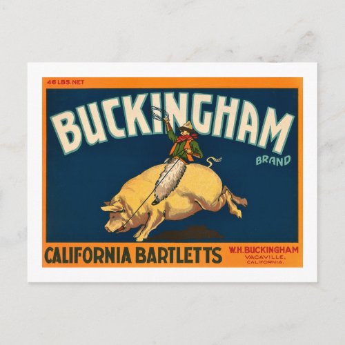 Buckingham Bartlett Apples _ Vintage Crate Label Postcard