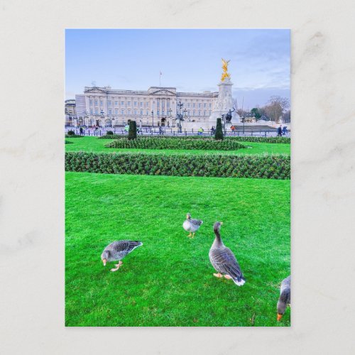 Buckingham Palace London UK Postcard