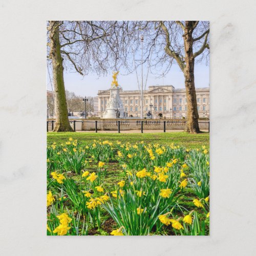 Buckingham Palace London UK Postcard