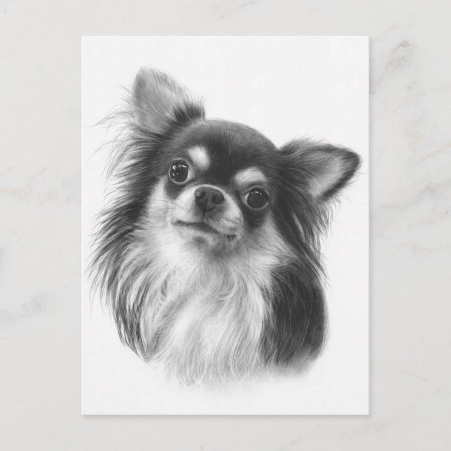 "Buckis" Hand Painted Chihuahua Portrait Postcard (Front)