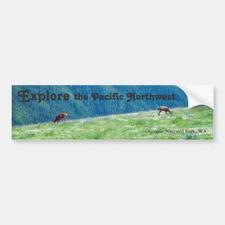 Bucks by the Mountains Bumper Sticker