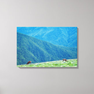 Bucks by the Mountains Canvas Print