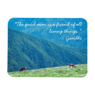 Bucks by the Mountains Magnet